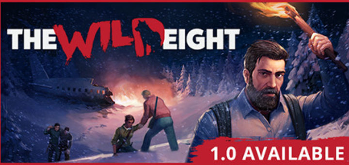 The wild eight можно ли играть вдвоем на одном пк